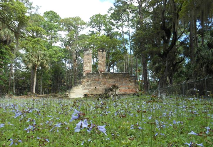 Dummett Mill at Bulow Creek State Park