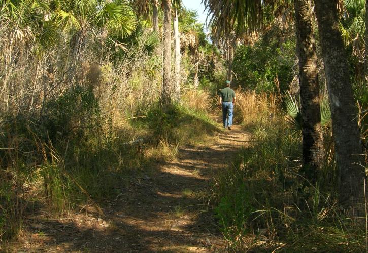 Estero Bay Preserve