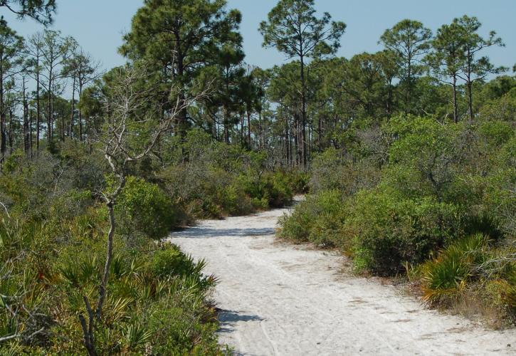 Estero Bay Preserve