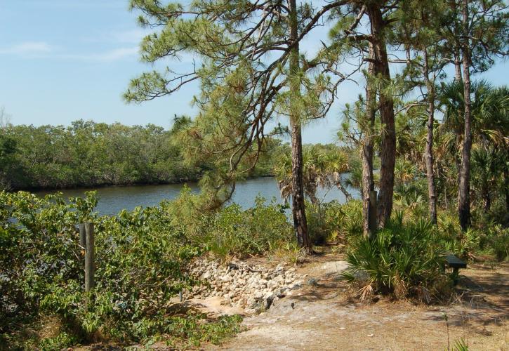 Estero Bay Preserve