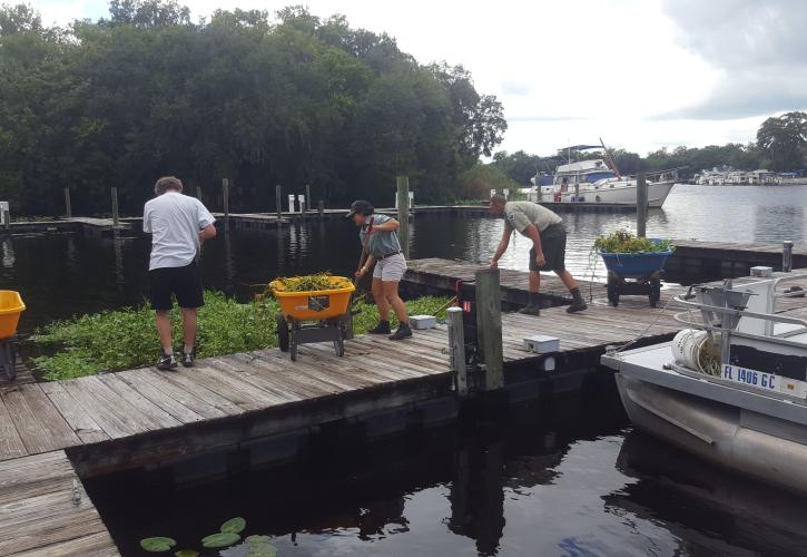 Marine Cleanup at Hontoon Island State Park