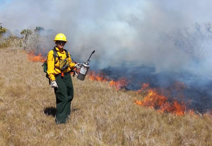 William Greene working on a prescribed fire.