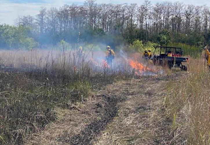 Park staff manage a prescribed fire.