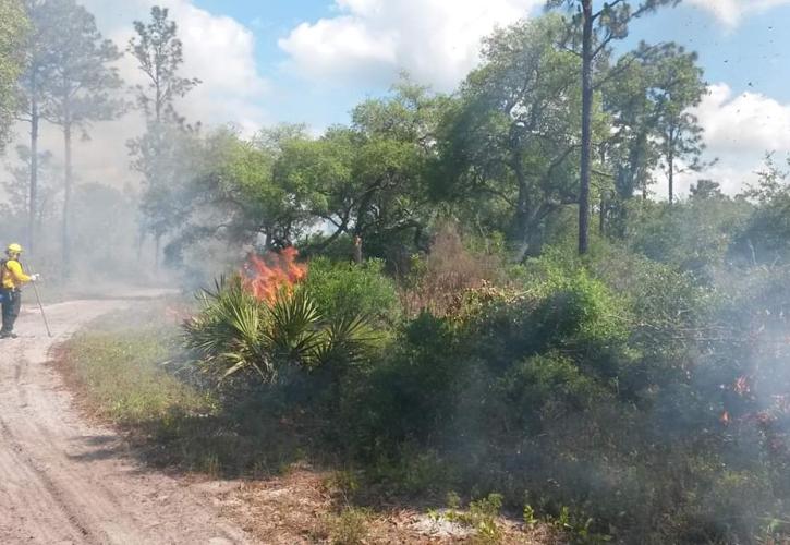 A person in a yellow uniform applies fire to a wooded area. 