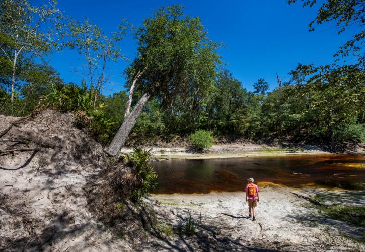 Suwannee River Wilderness