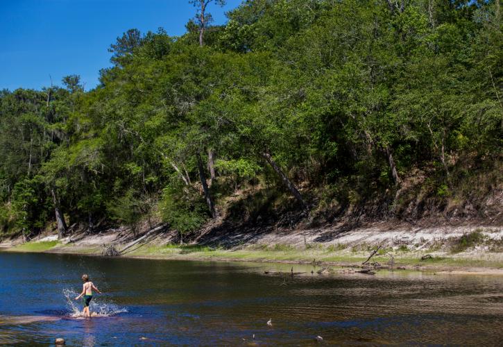 Suwannee River Wilderness