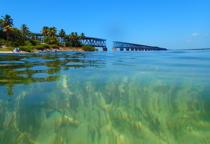 View from underwater sea grass looking towards bridge