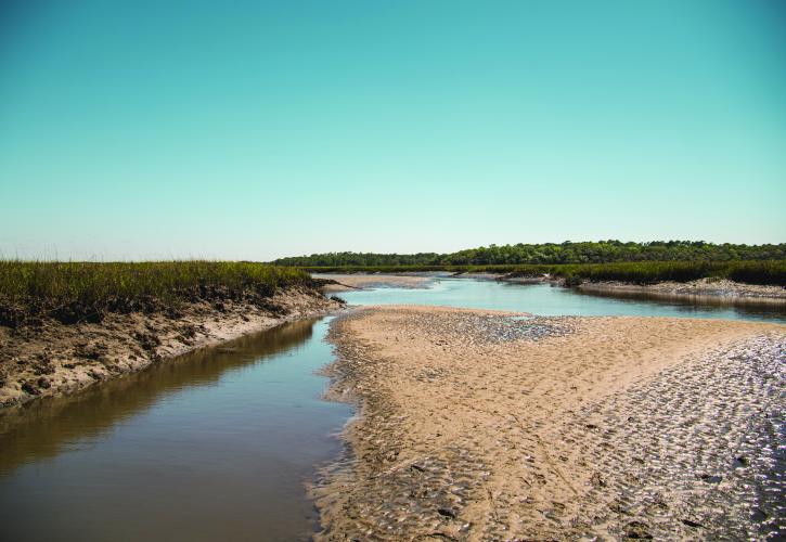 Marsh overlook