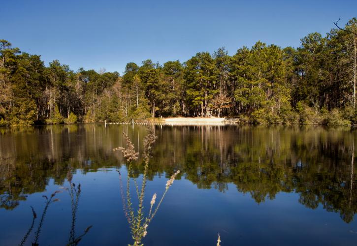 View of Swimming area from lake