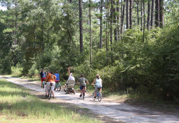 Family Biking on Sandhill Trail