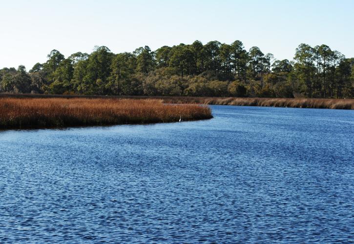 Faver-Dykes State Park