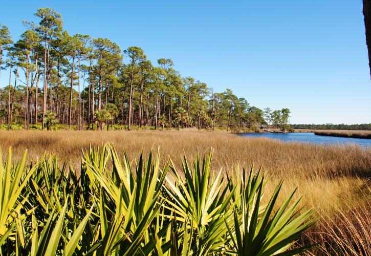 Faver-Dykes State Park