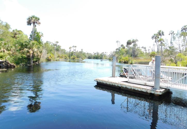 Fishing at Econfina River