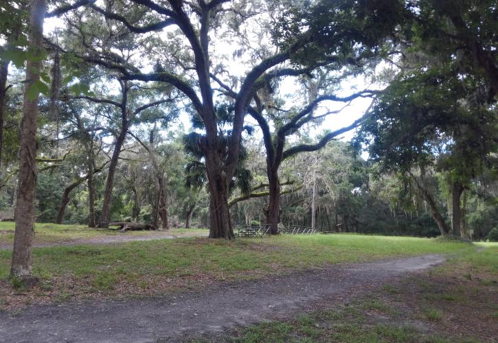 Fort Site at Fort Cooper