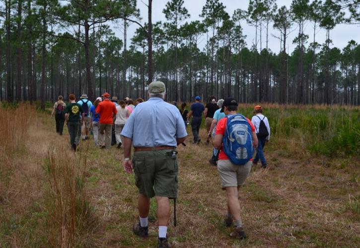 Group Hiking at Dunns Creek