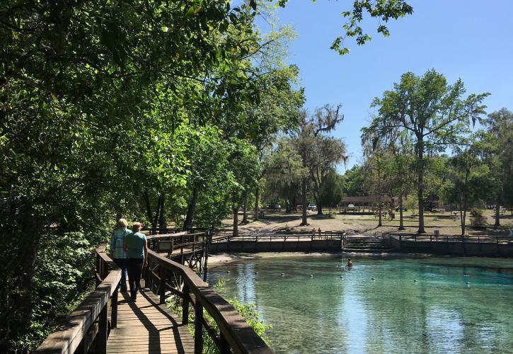 Boardwalk at Gilchrist Blue Springs State Park