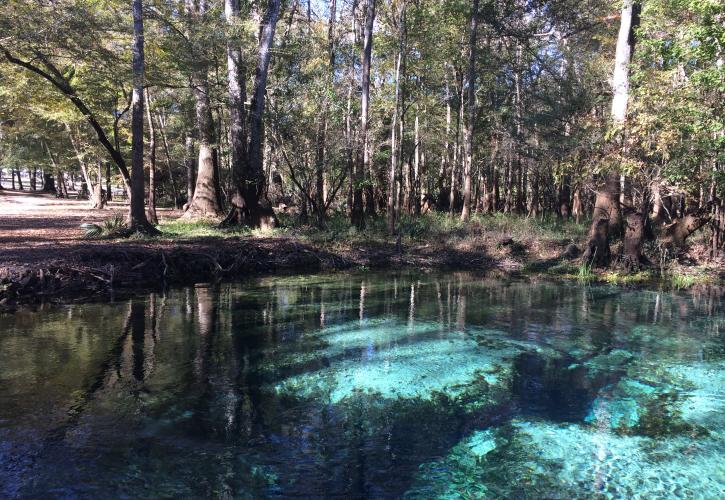 Gilchrist Blue Springs State Park