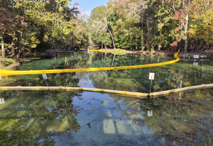 Swimming area renovations