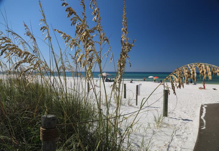 Grayton Beach