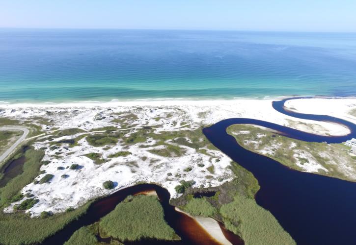 Grayton Beach