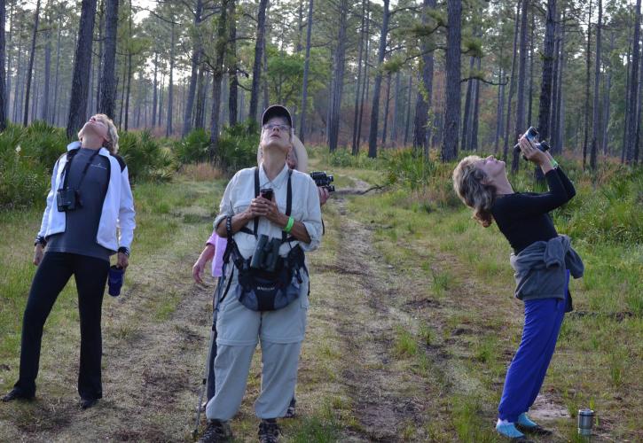 Wildlife viewing at Dunns Creek