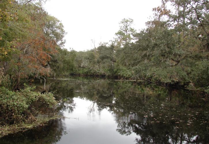 Haw Creek Preserve State Park