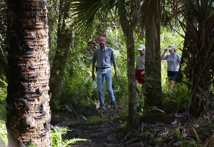 Charlotte Harbor Hikers