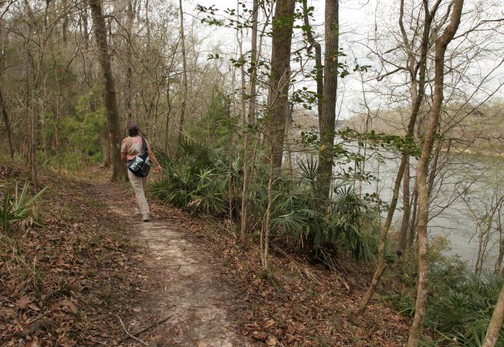 Torreya Hiking