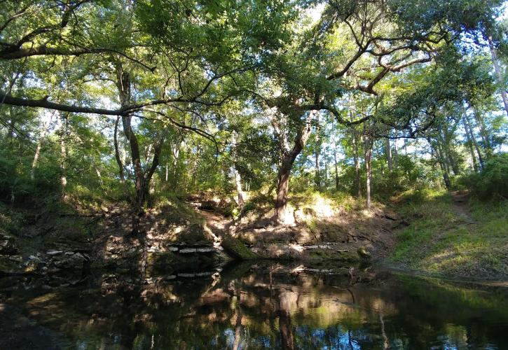 Hiking at Lafayette Blue Springs