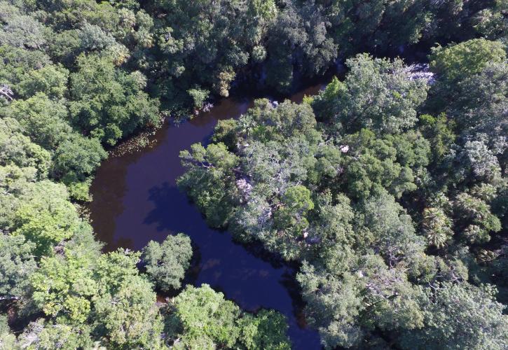 A top down view of the Hillsborough river.