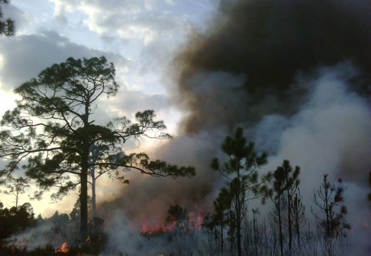 Prescribed Fire at St. Sebastian