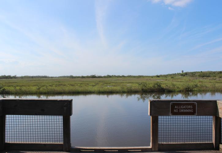 Wooden boardwalk on Coastal Strand Trail