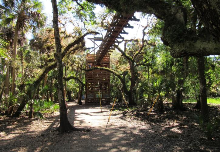 The small tower of the Canopy Walkway with suspension bridge visible