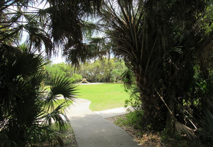 Dense vegetation gives way to the large field by the South Pavilion