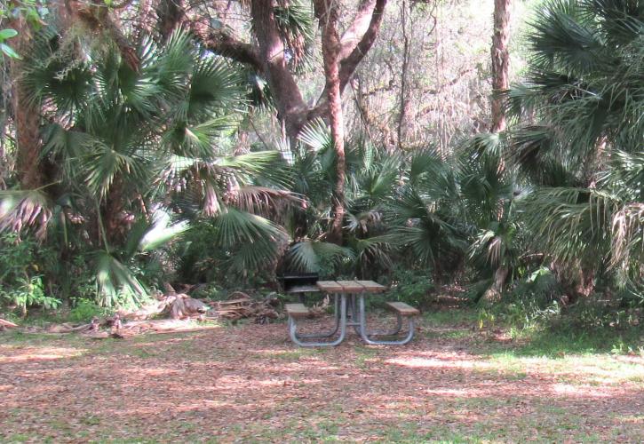 The Log Pavilion is surrounded by beautiful scenery and great spots to picnic