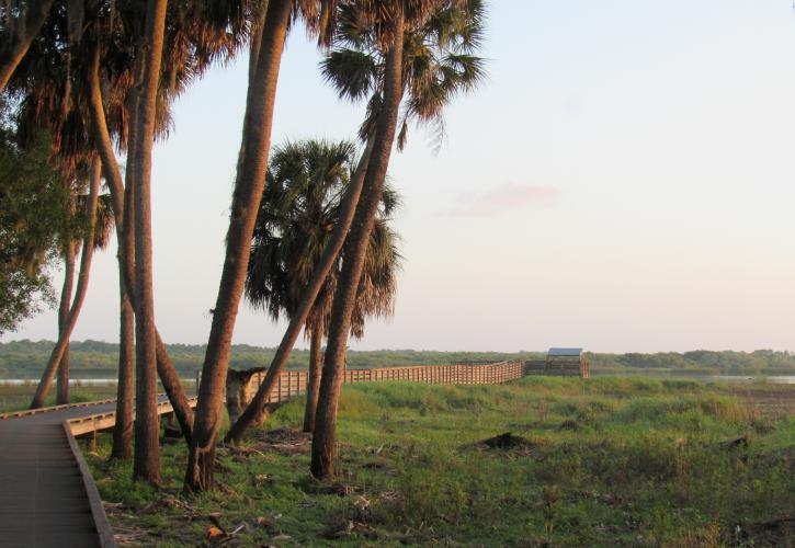 Birdwalk and marsh surrounding it