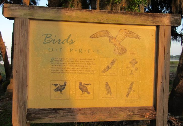 A sign on the Birdwalk shows pictures and gives information about common Birds of Prey