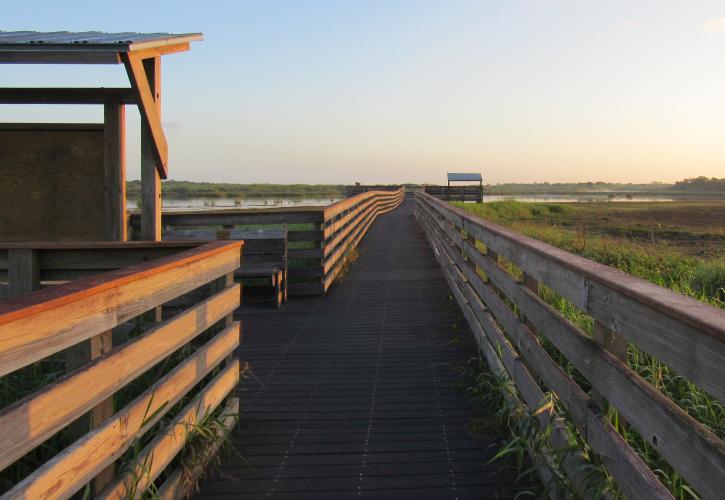 A picture of the halfway point of the Birdwalk, including signs and a bench