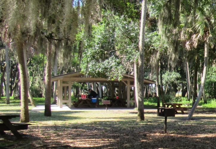 Live Oaks and Cabbage Palms frame the Lake Pavilion