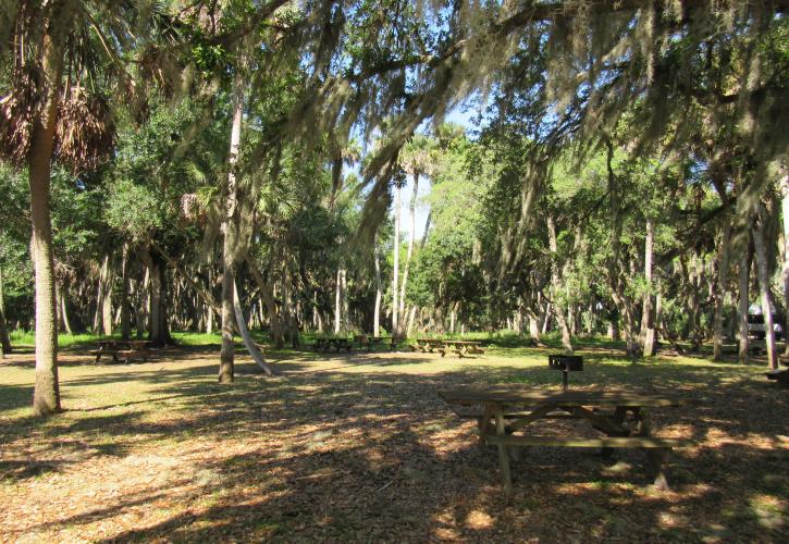 A shady area near the Lake Pavilion with additional picnic tables