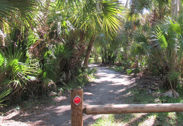 A shady walk connects the parking area to the cabin tucked into the woods