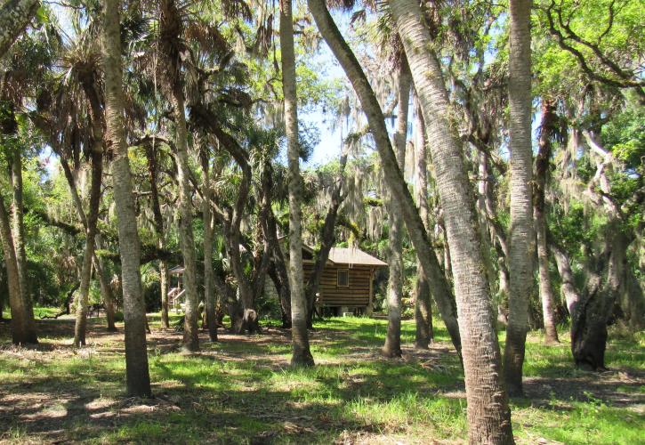 A cabin is visible through a grassy and tree-speckled area