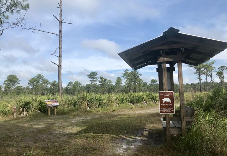 Trails at Hontoon Island