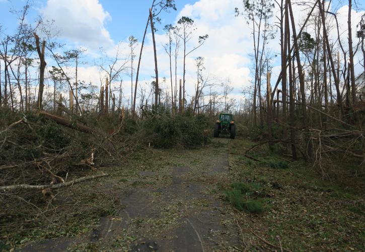 Florida Caverns Clean Up