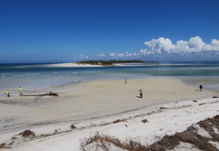 Hurricane Recovery T H Stone Memorial St Joseph Peninsula