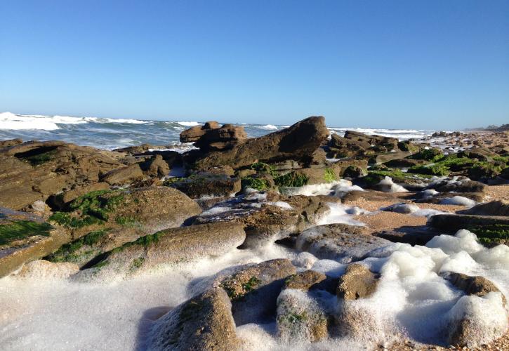 waves crashing against and filling in coquina rocks 