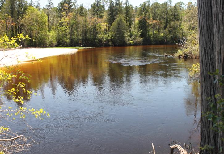 Blackwater River State Park Florida State Parks