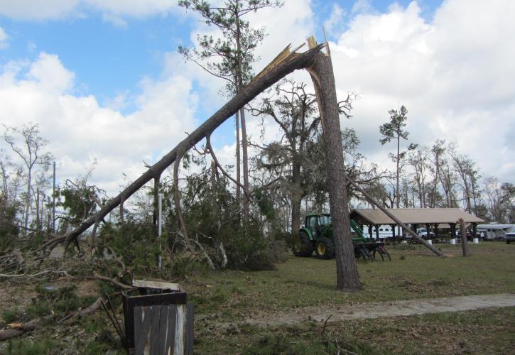 Hurricane Michael Torreya Damage