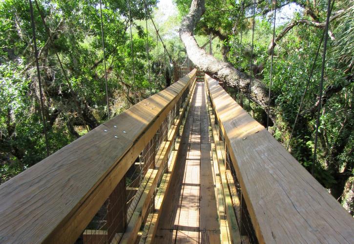 A view looking down the suspension bridge