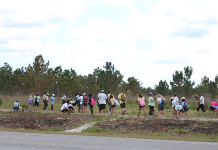 Girl Scouts pick up litter.